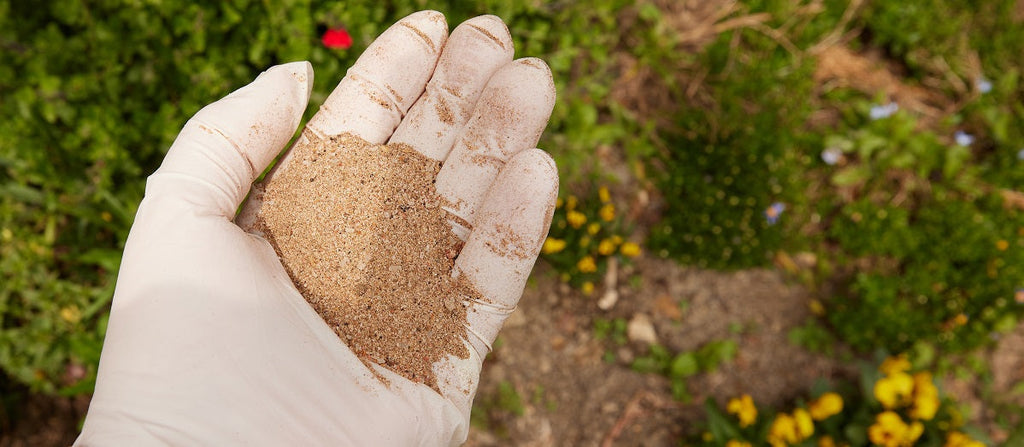 How to Use Bone Meal Fertilizer in Your Garden