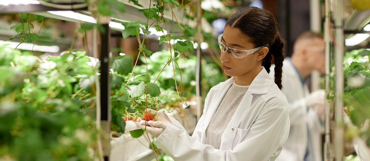Botany 101: The Basics of Botany
