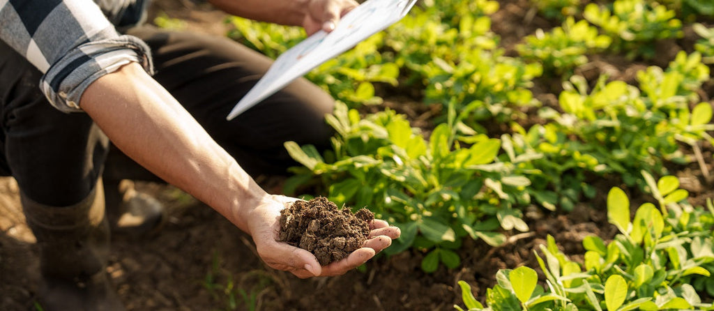 What Components Make Up Soil?