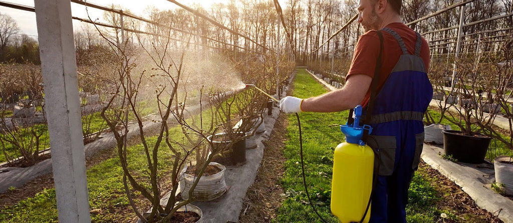 Pesticide Use