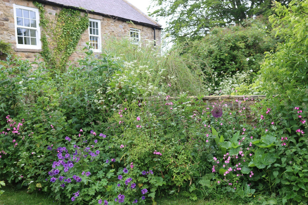 How to Create a Practical Magic-Inspired Garden