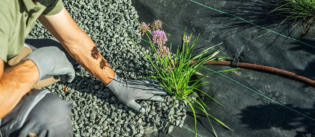 Irrigation Management: Watering Lawns & Gardens