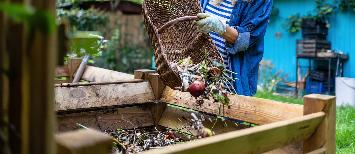 What Can You Compost? And What Cannot Be Composted?