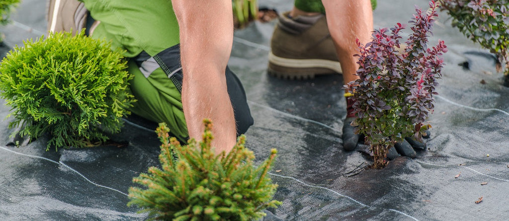 Landscape Fabric in the Garden – What it is, Pros, Cons, and How to Use