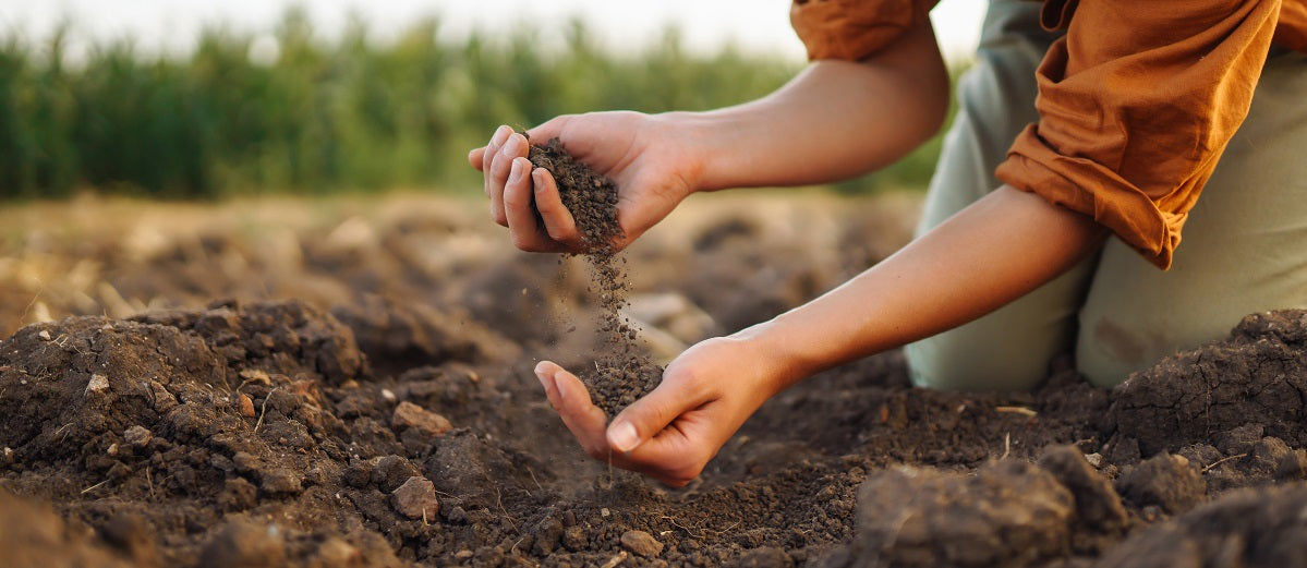 Soil Chemistry