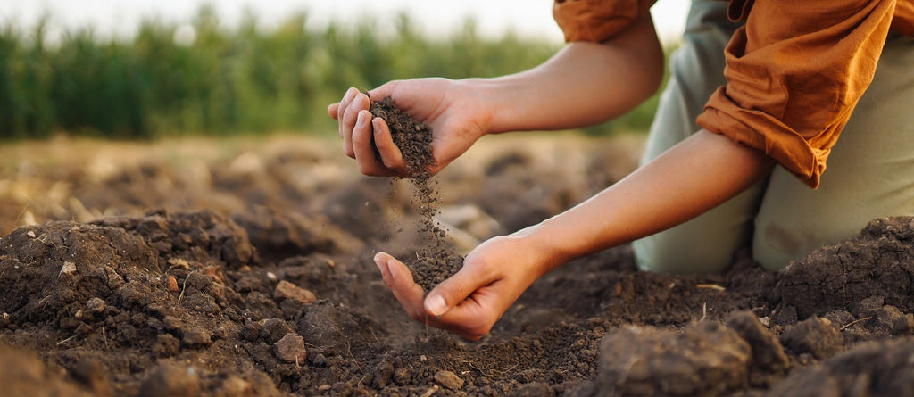 Soil Chemistry