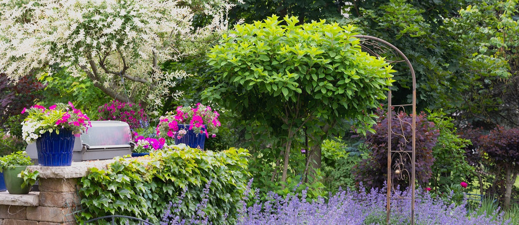 Selecting Plants for Your Landscape