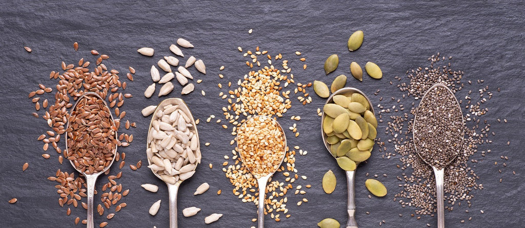 Seeds of Plants