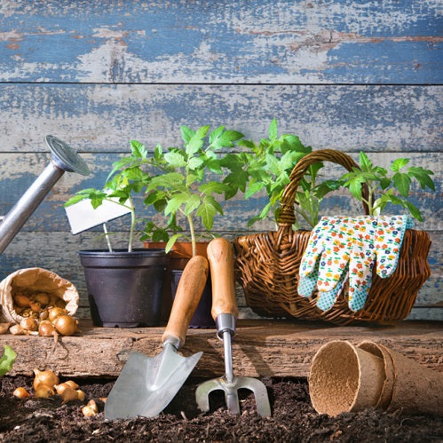 25 Incredible Vegetable Garden Ideas