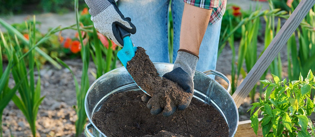 Why Is Humus Important For Your Garden?