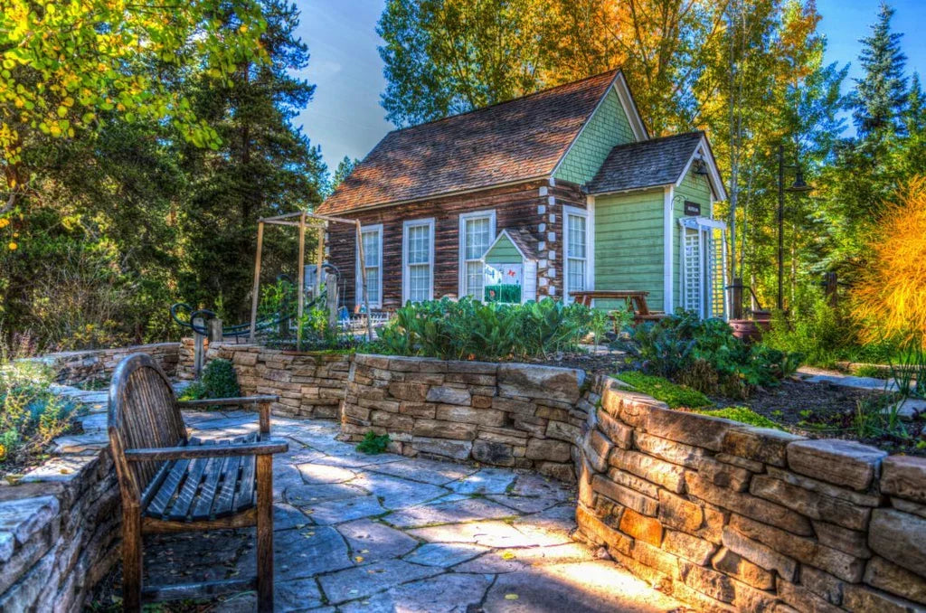 What Are Native Plants? A Guide for Every Region
