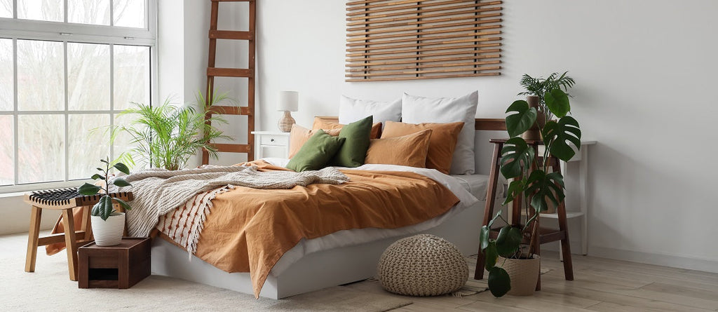 8 Best Bedroom Plants That Purify The Air & Improve Your Sleep Quality