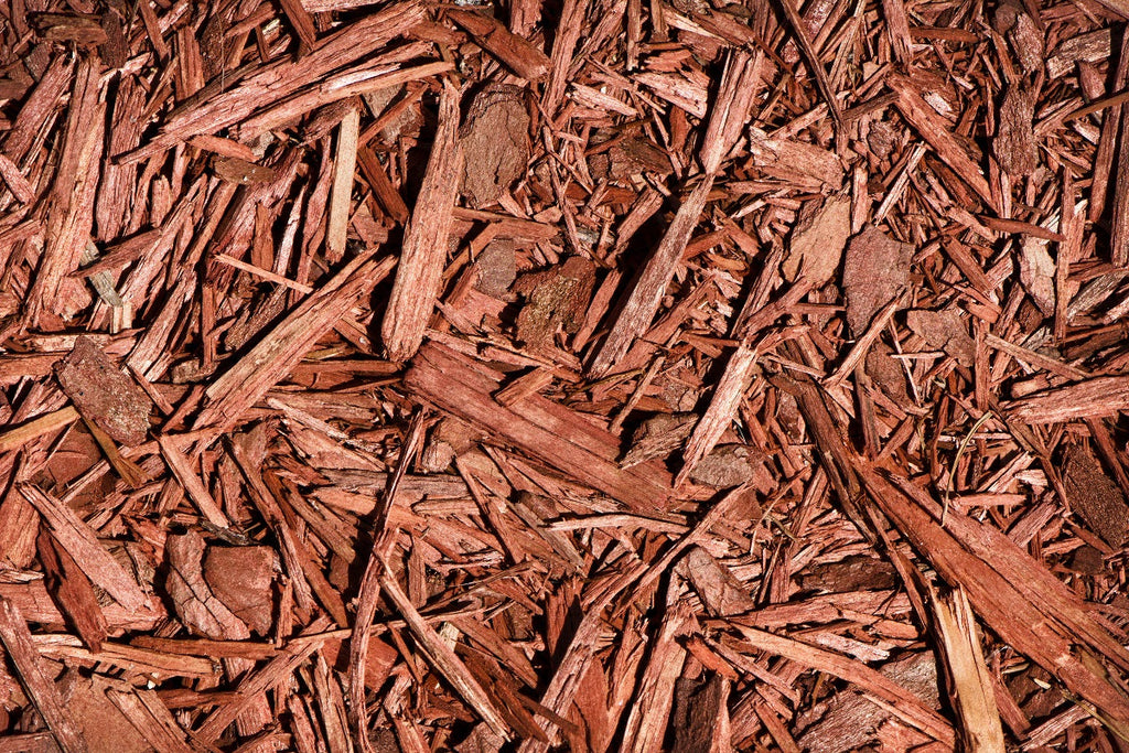 Cedar Mulch in the Garden – Uses, Pros & Cons, and Problems