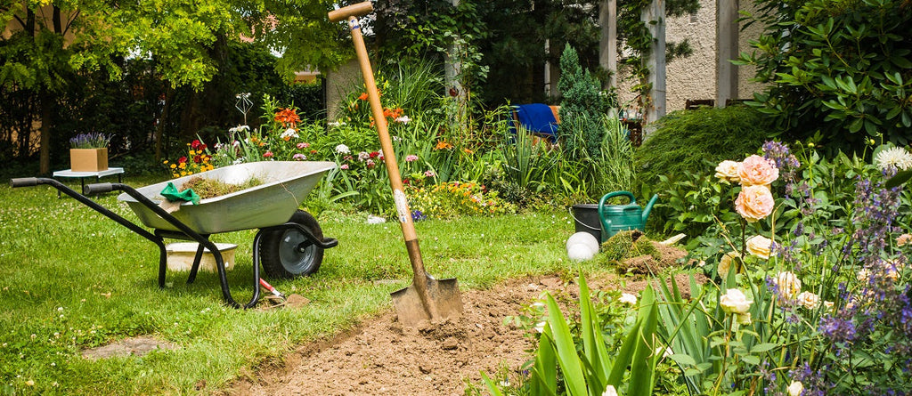 25 Beautiful Flower Bed Ideas