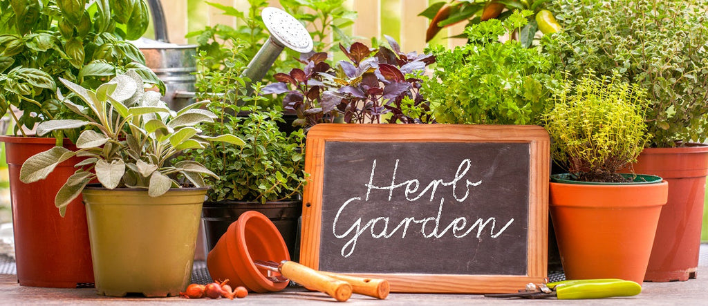 25 Pretty Herb Garden Ideas