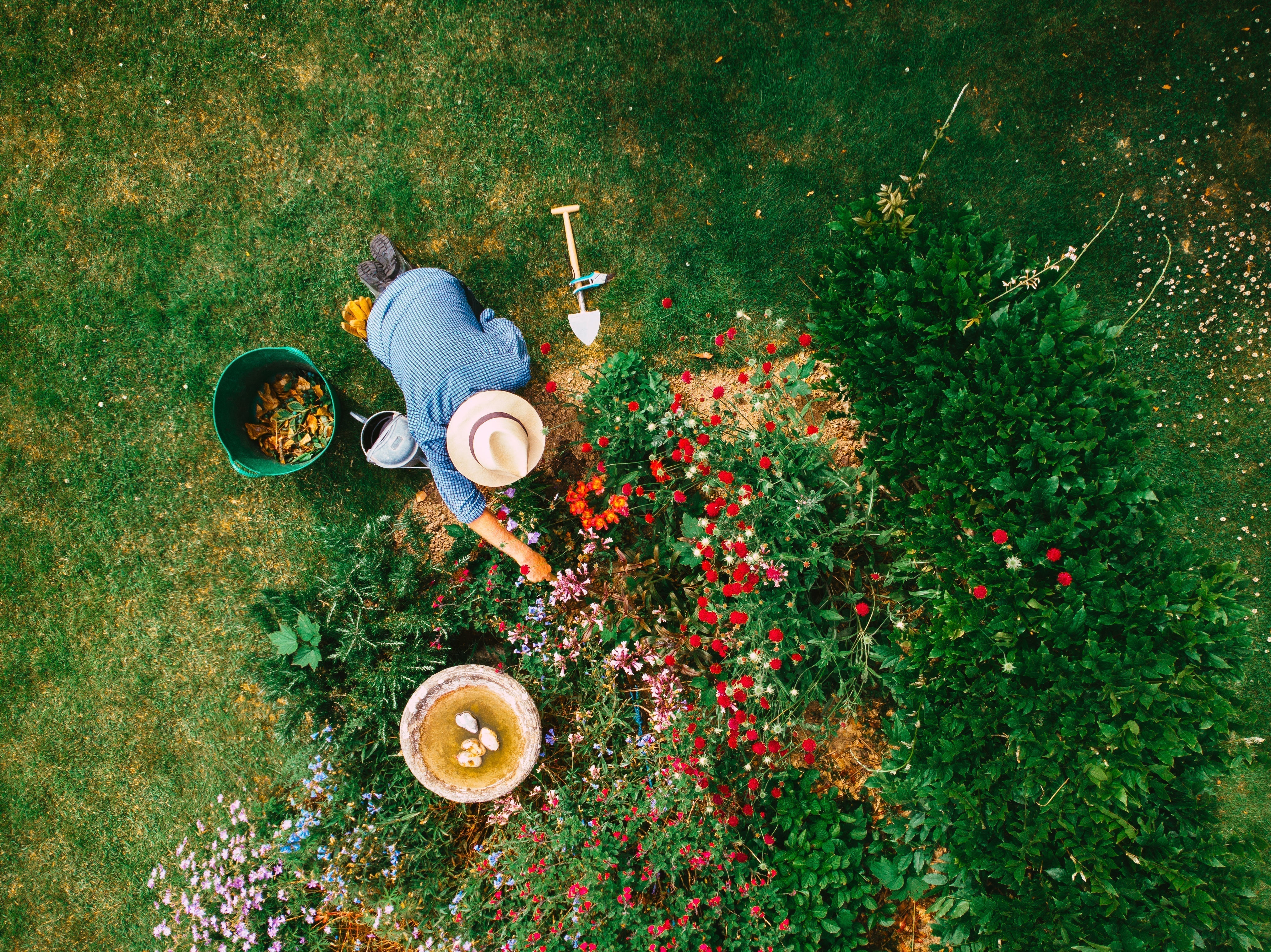 The Best Spring Gardening Tools to Refresh Your Yard