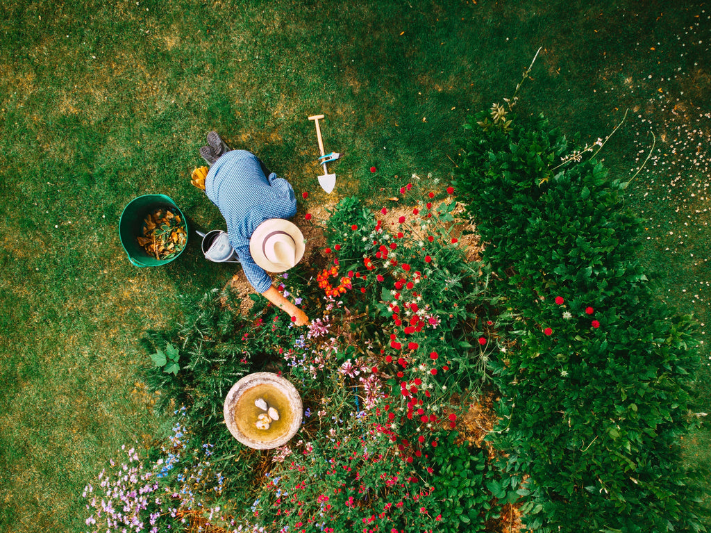 The Best Spring Gardening Tools to Refresh Your Yard