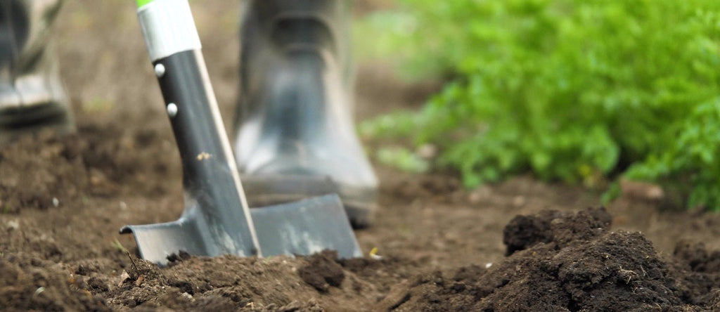 The Best Organic Fertilizers & How to Use Them