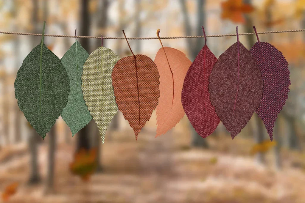 Fast-Growing Trees for Evergreen Fall Décor