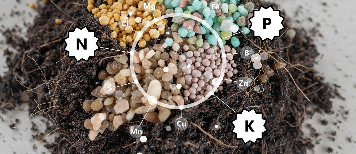 Fertilizers
