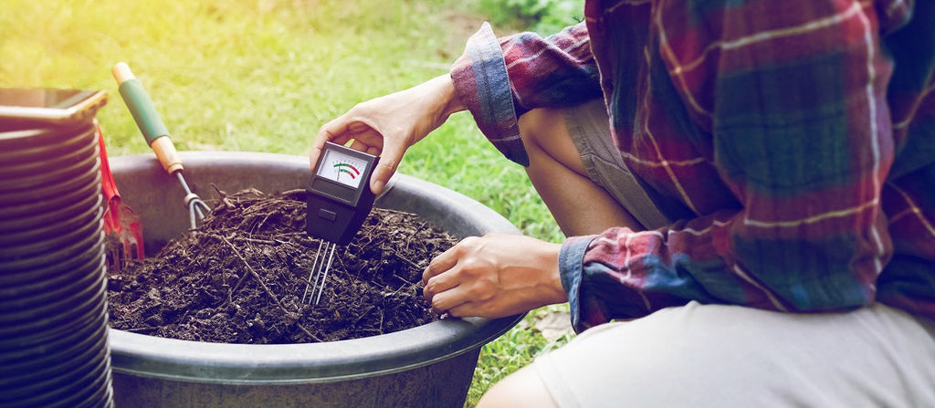 What is Soil pH?
