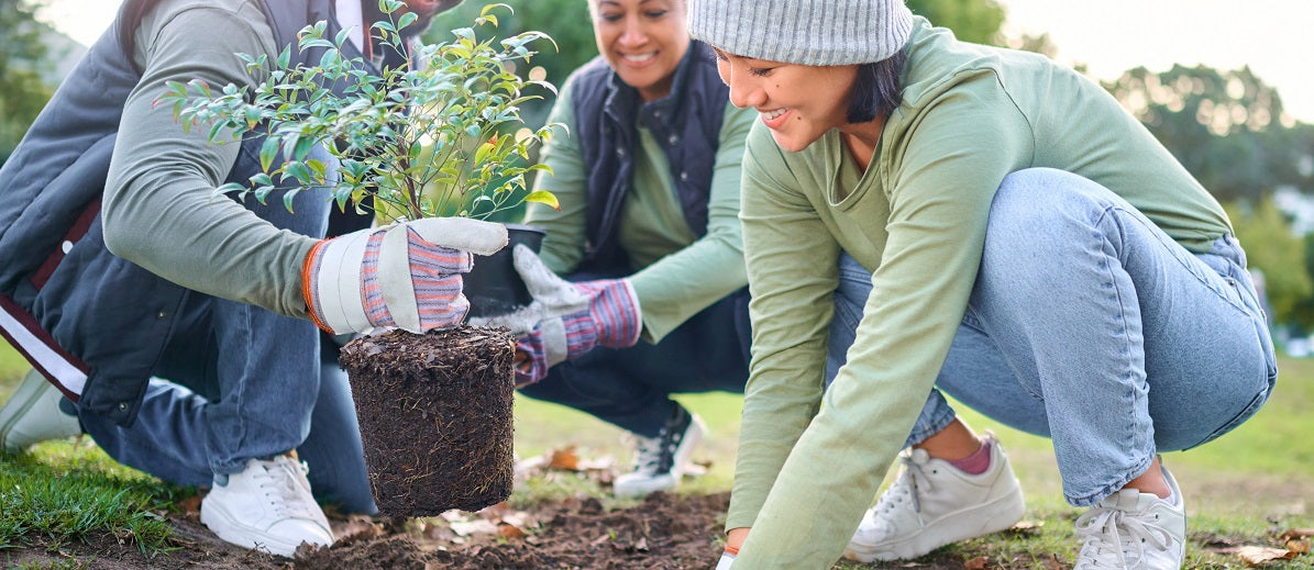 Master Gardener Programs