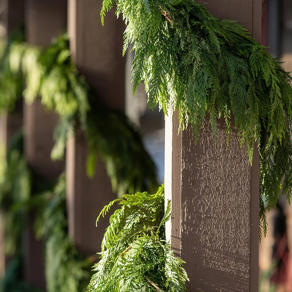Cedar Garland