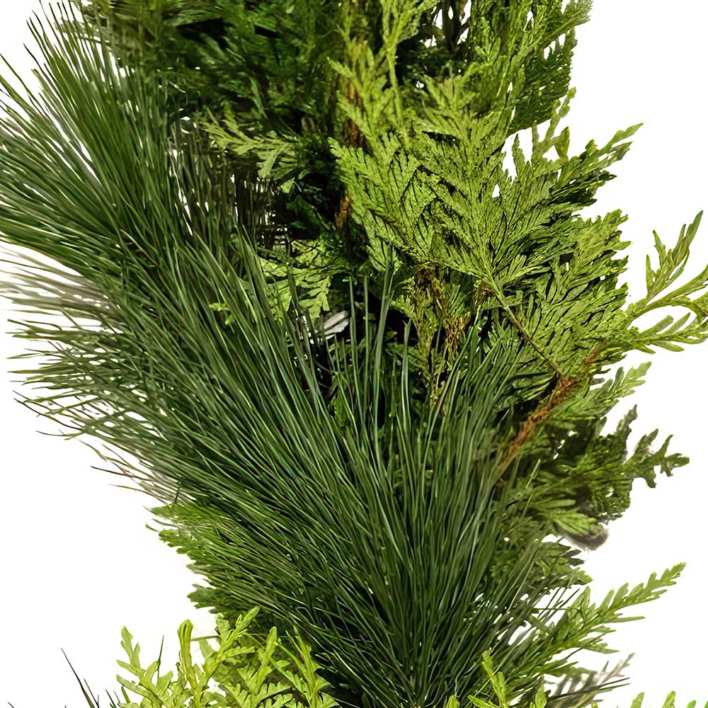 Cedar and White Pine Garland