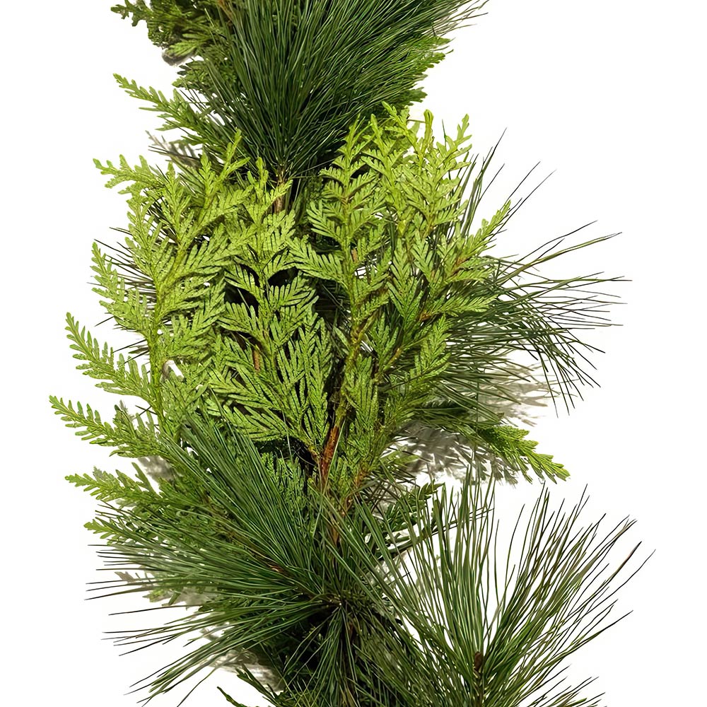 Cedar and White Pine Garland