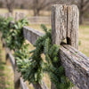 Fraser Fir Garland