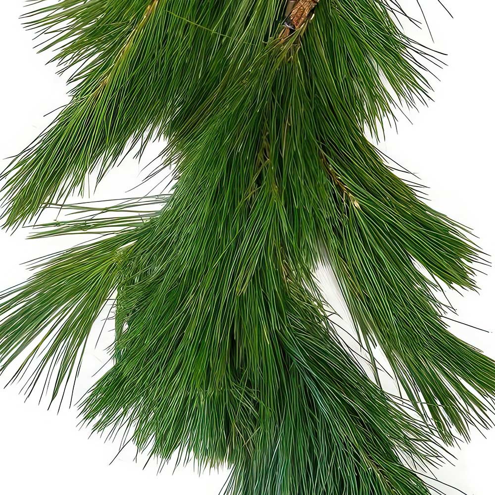 White Pine Garland