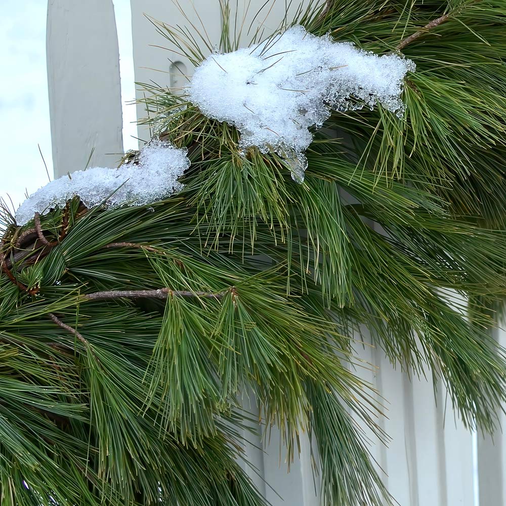 White Pine Garland