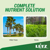 Lutz Palm Tree Fertilizer Spikes