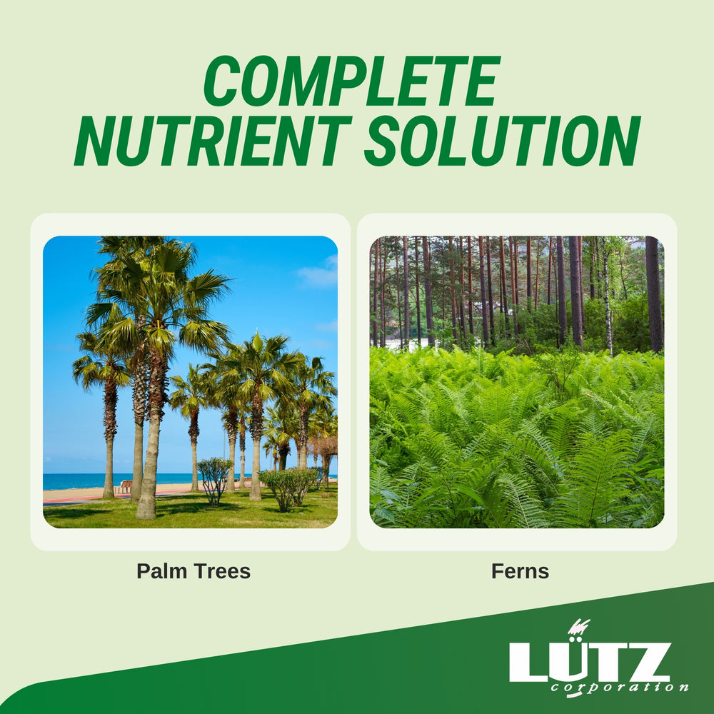 Lutz Palm Tree Fertilizer Spikes