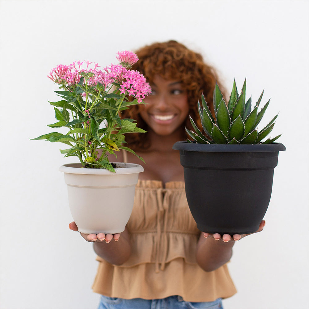 Bloem Ariana Self-Watering Planter in Charcoal