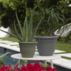 Bloem Ariana Self-Watering Planter in Charcoal