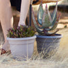 Bloem Ariana Self-Watering Planter in Pebble Stone