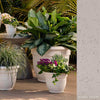 Bloem Ariana Self-Watering Planter in Vanilla Bean