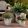Bloem Ariana Self-Watering Planter in Vanilla Bean