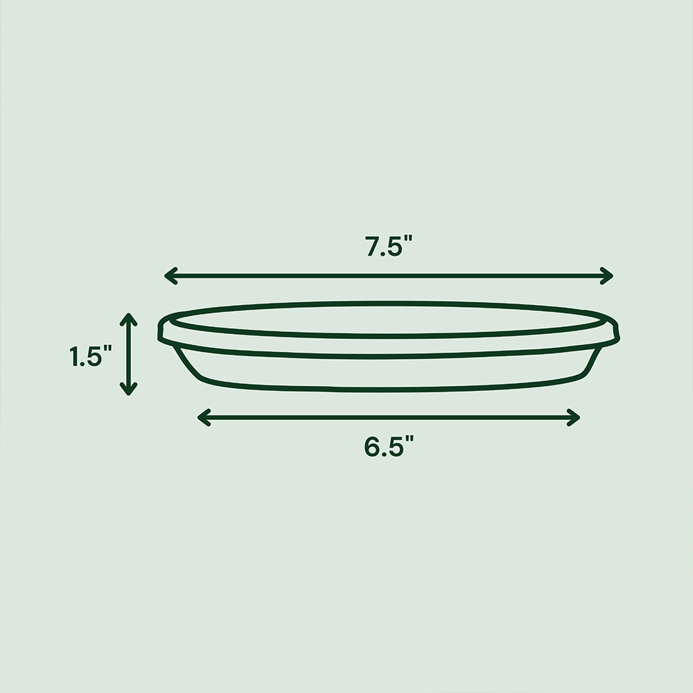 Bloem Terra Saucer in Black