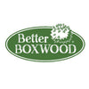 Better Boxwood® Skylight™ Shrub