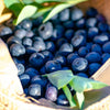 Southern Living® DownHome Harvest® I Declare™ Blueberry Shrub