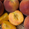 Pix Zee Patio Peach Tree