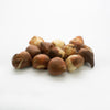Berry Mix Tulip Bulbs