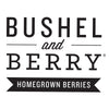 Bushel and Berry® BerryBux® Blueberry