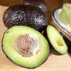 Carmen-Hass® Avocado Tree