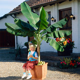 block-image