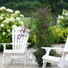 Proven Winners® Clematis 'Sweet Summer Love' Vine