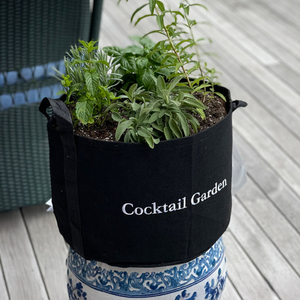 Gardenuity® Patio Cocktail Herb Garden Kit