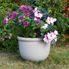 Crescent Garden Agave Planter